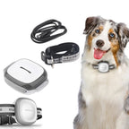 Collared Cat Dog Tracker Pet Locator Pet by My Store