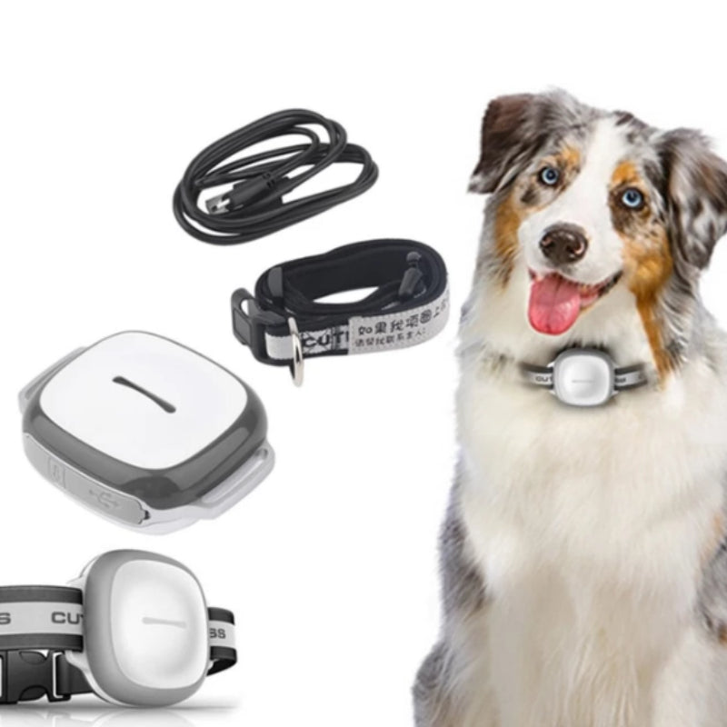 Collared Cat Dog Tracker Pet Locator Pet by My Store