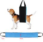 New Pet Products Dog Auxiliary Belt Pet Power by My Store
