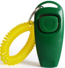 Multifunctional Pet Rattle Whistle Dog Training Device by My Store