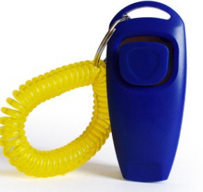 Multifunctional Pet Rattle Whistle Dog Training Device by My Store