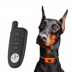 Dog Training Device LED Digital Display Training Supplies E-Commerce Factory Source Product Explosion Bark Control Remote Control by My Store