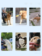 Rechargeable Remote Control Dog Training Device Pet Supplies Rechargeable Bark Stopper by My Store