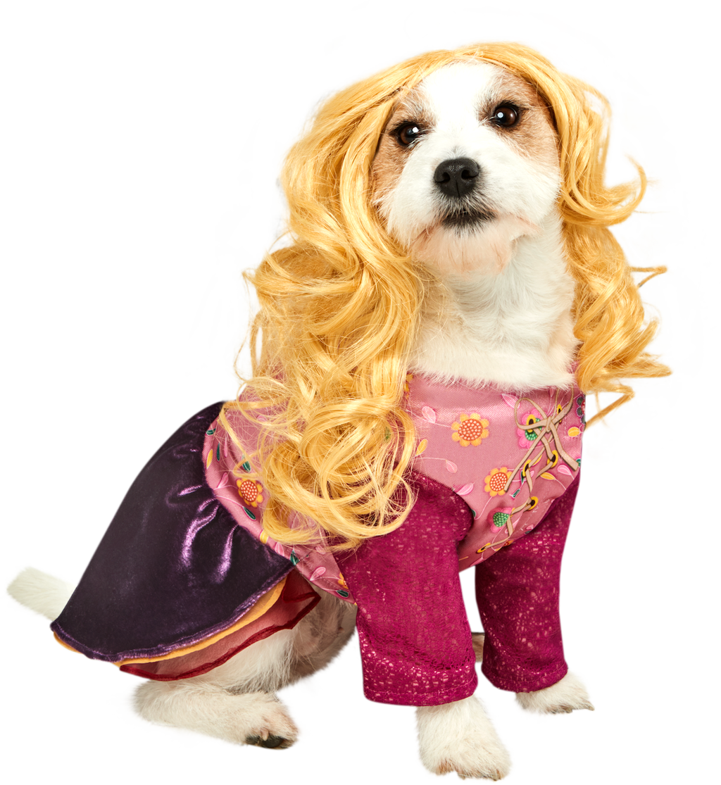 Rubies Hocus Pocus Pink and Purple Floral Pet Costume