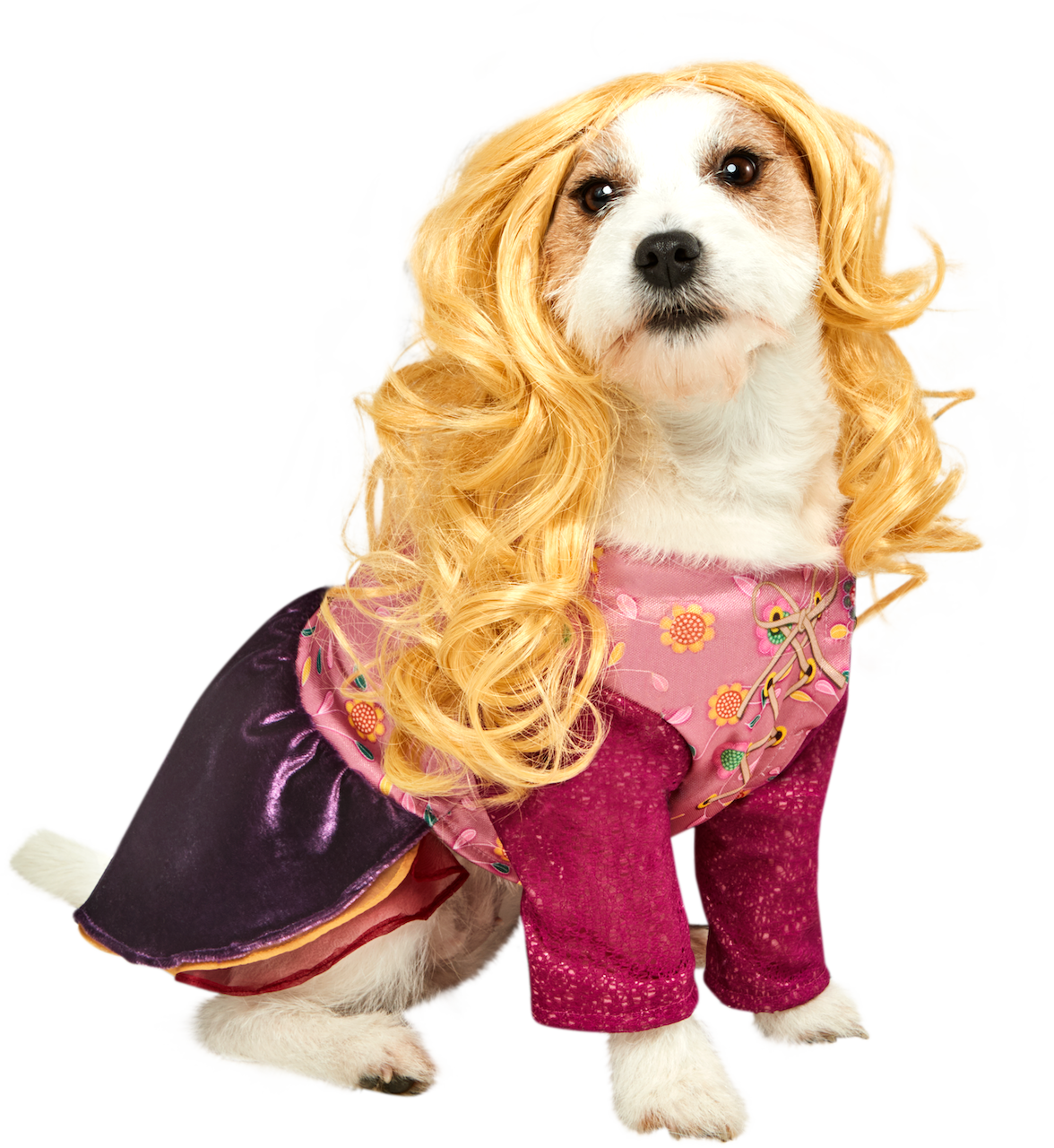 Rubies Hocus Pocus Pink and Purple Floral Pet Costume