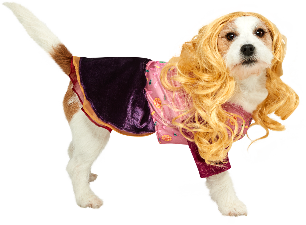 Rubies Hocus Pocus Pink and Purple Floral Pet Costume