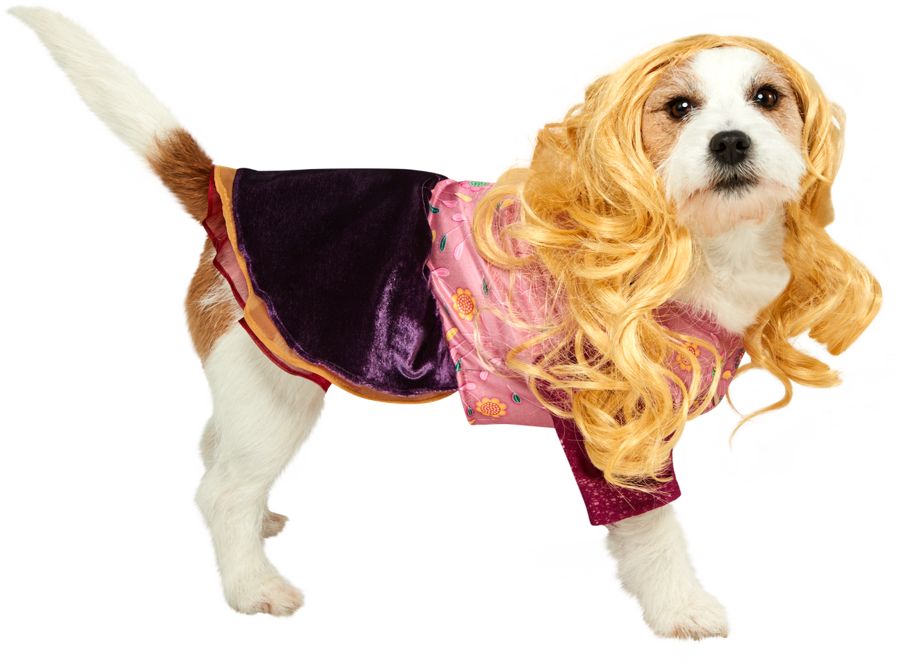 Rubies Hocus Pocus Pink and Purple Floral Pet Costume