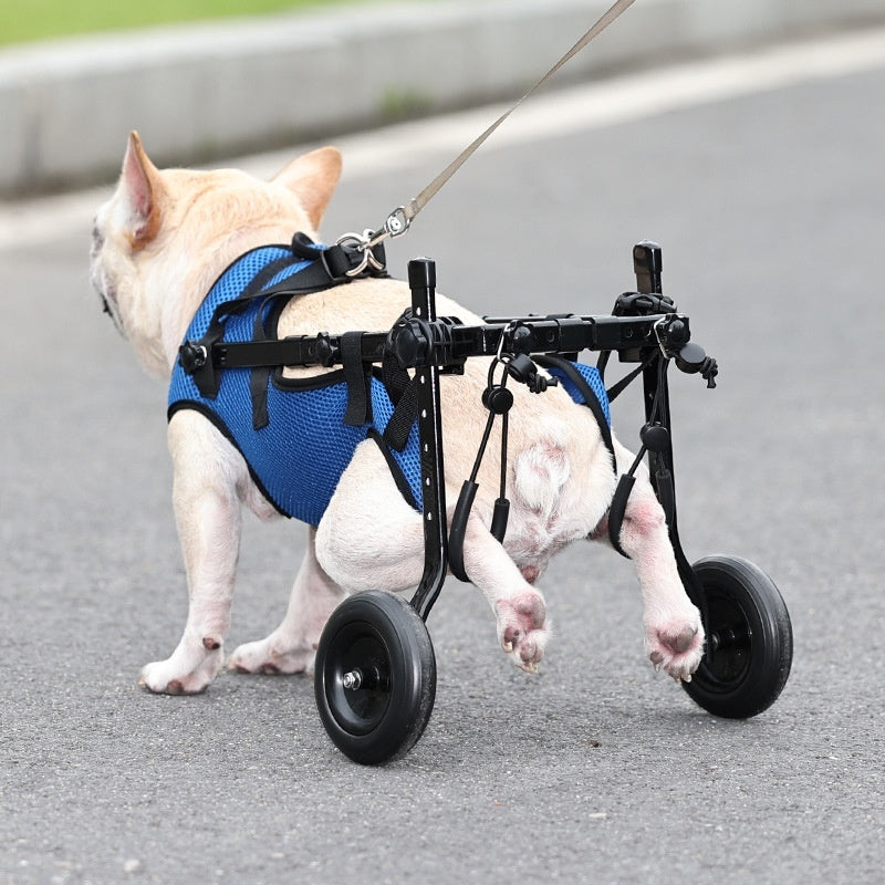 Pet Disabled Dog Wheelchair Scooter by My Store