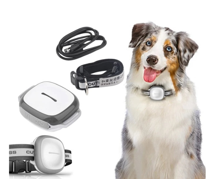 Collared Cat Dog Tracker Pet Locator Pet by My Store