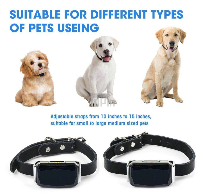 Pet Tracking Locator by My Store