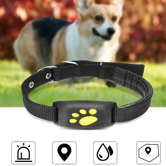 GPS Pet Tracker by My Store