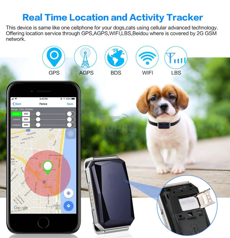 Pet Tracking Locator by My Store