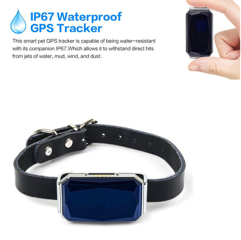 Pet Tracking Locator by My Store