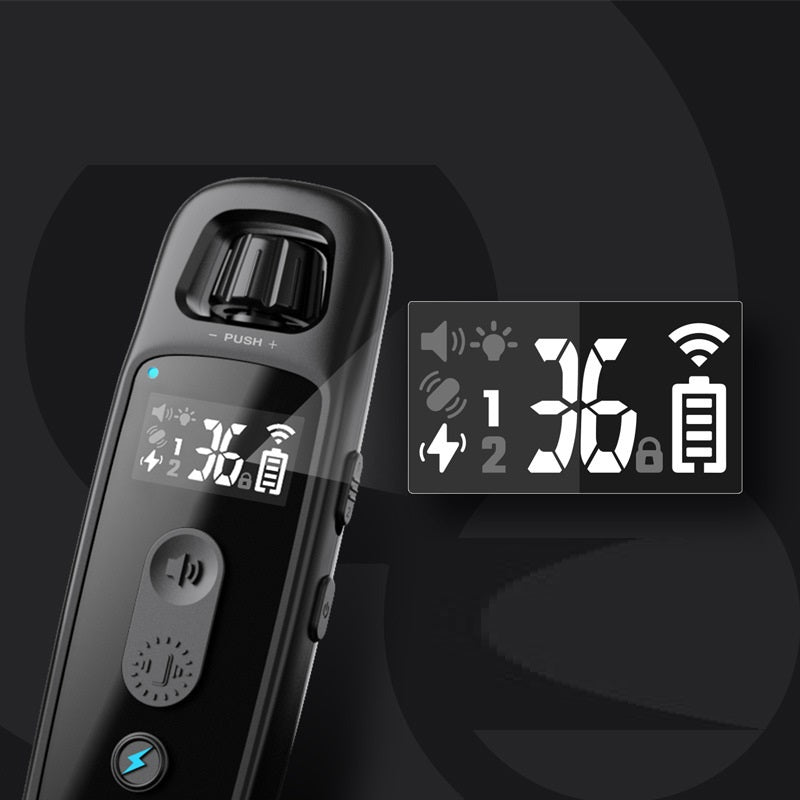 Anti-barking Device Remote Control Electric Shock Collar by My Store