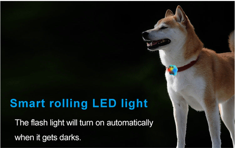 Dog Pet Collar Anti Loss Locator by My Store