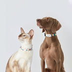 Pet Smart Wearable Bluetooth Device Cat Brand Dog Brand by My Store