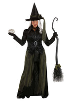 Cool Witch Costume - Women's Gothic Witch Outfit with Hat and Cape by Lady Ros