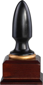 Everything Everywhere All Auditor of The Month Plug Throphy Custom by TVStoreOnline