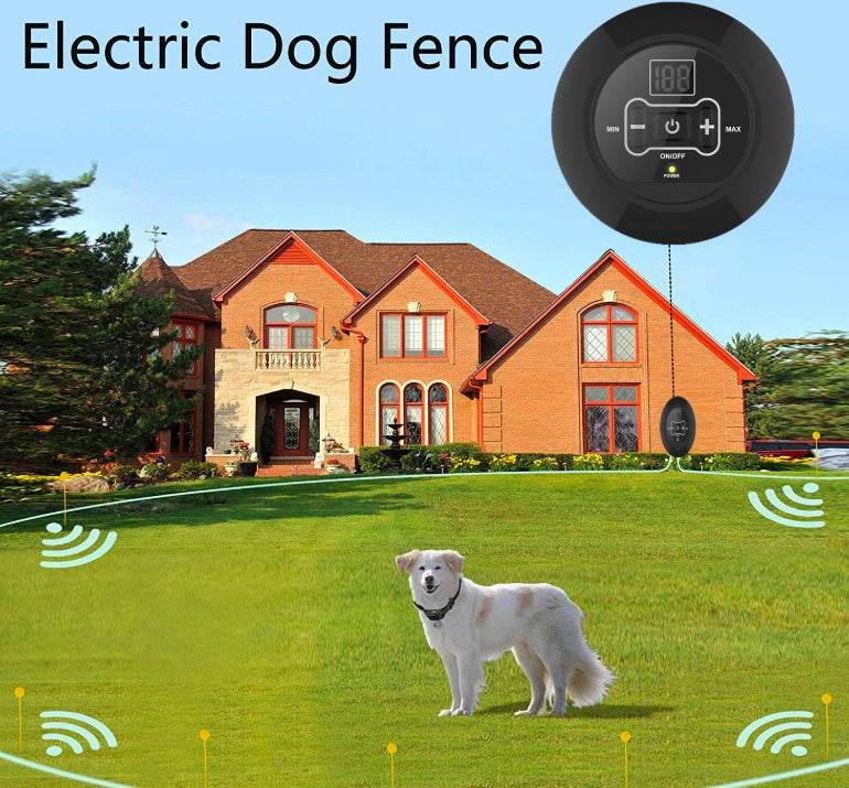 Pet Wireless Trainer And Bark Stop Device by My Store