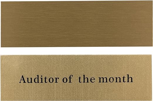 Everything Everywhere All Auditor of The Month Plug Throphy Custom by TVStoreOnline