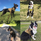 Military Tactical Dog Harness German Shepherd Adjustable Pet Dog Back by My Store