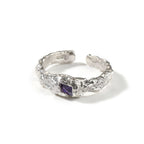 Hip-Hop 925 Silver Ring with Purple Zircon by nowadaysfashion