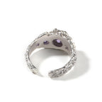 Hip-Hop 925 Silver Ring with Purple Zircon by nowadaysfashion
