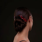Elegant Red Crystal 2-Piece Hair Comb Set by Bridal Port