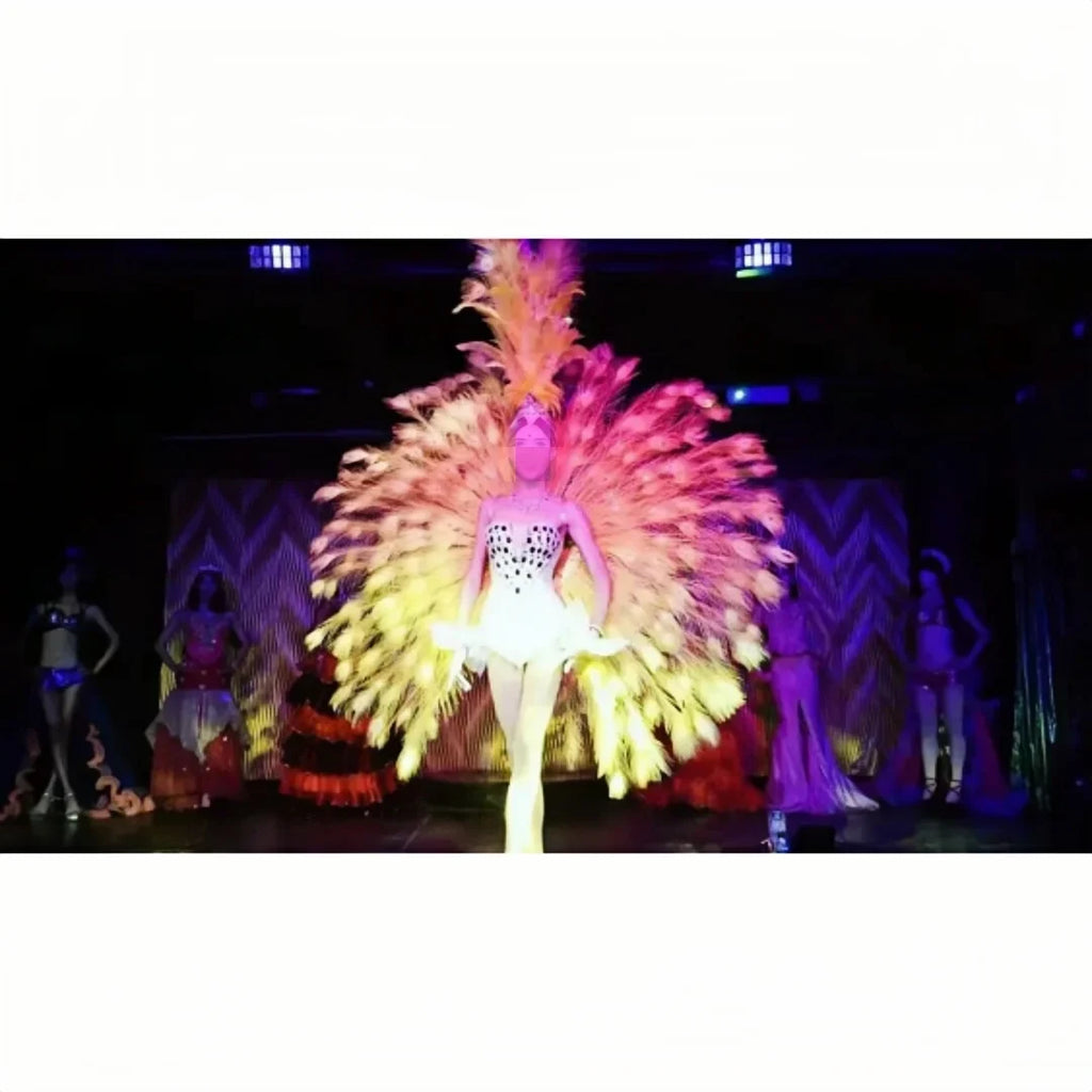 The Stardust Victoria Cabaret – Deluxe Angel Feather Wing & Headdress Stage Costume Set by Stardust Starlets