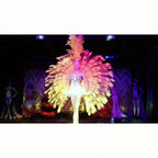The Stardust Victoria Cabaret – Deluxe Angel Feather Wing & Headdress Stage Costume Set by Stardust Starlets