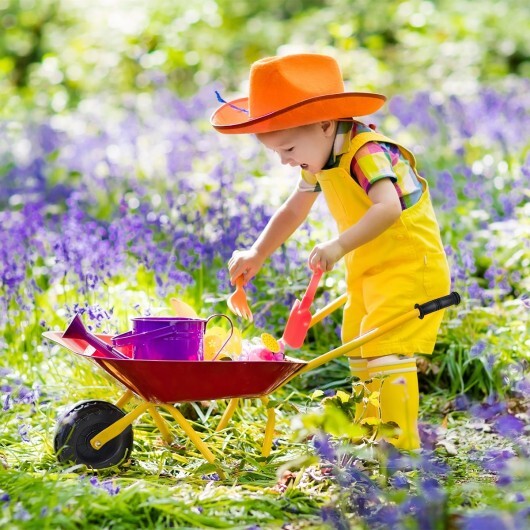 Outdoor Garden Backyard Play Toy Kids Metal Wheelbarrow-Red by LuxuryLifeWay Online Store