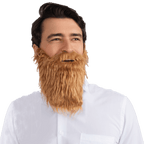 Costume Beard and Mustache by Dress Up America