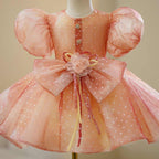 Super Fairy Children Host Pettiskirt Advanced by Baby Joy