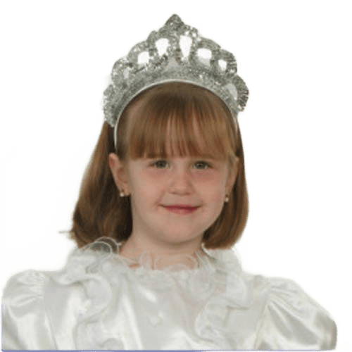 Silver Tiara with Veil by Dress Up America