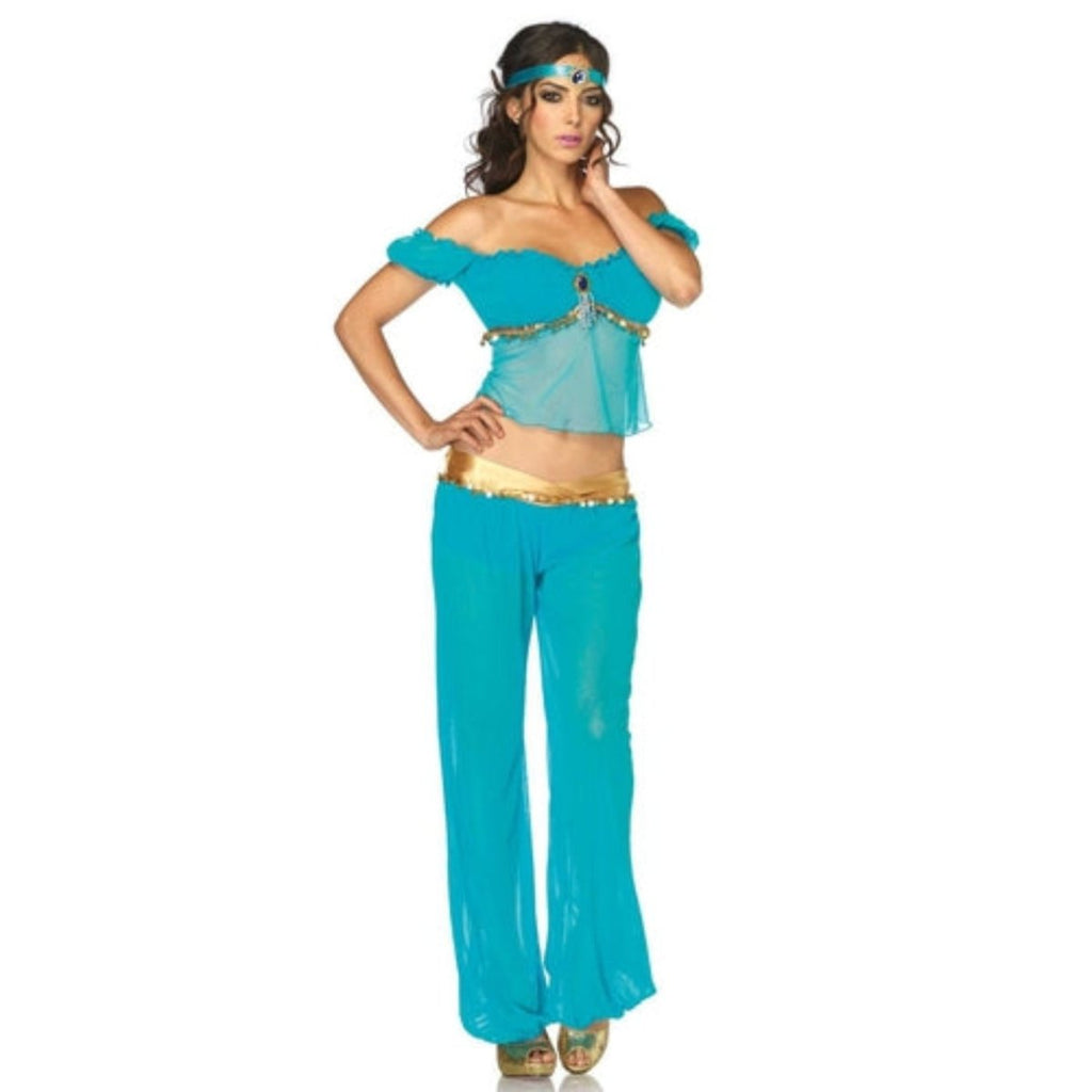 Arabian Beauty Costume - worldclasscostumes
