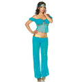 Arabian Beauty Costume - worldclasscostumes