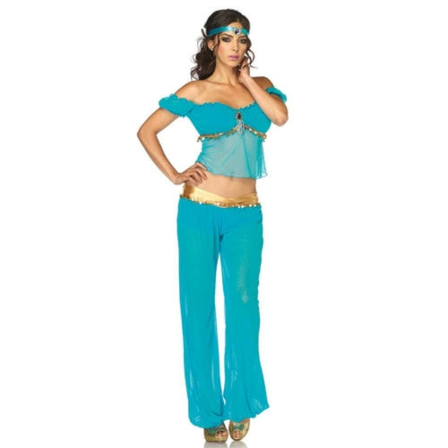 Arabian Beauty Costume - worldclasscostumes