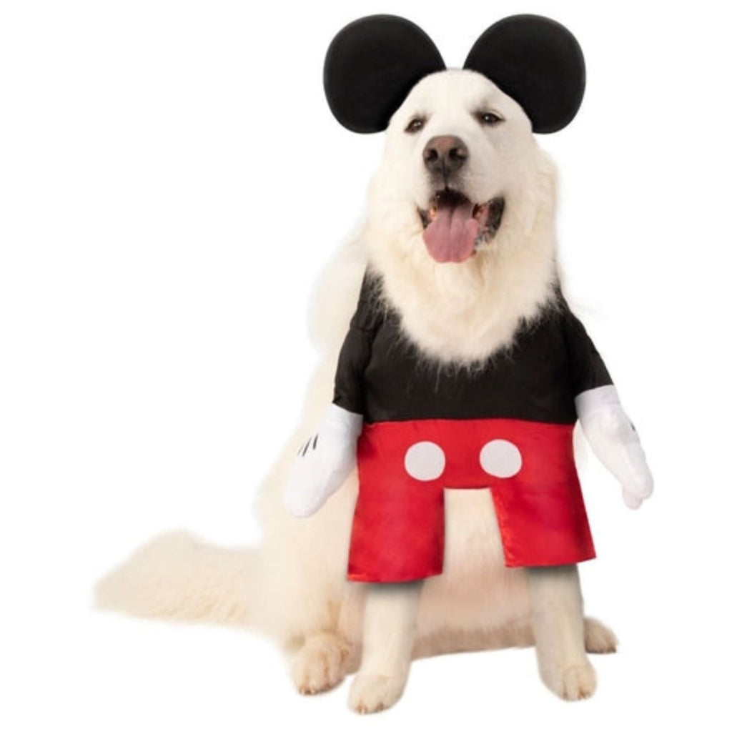 Dog in Big Dogs Pets Mickey Mouse costume with step-in hooded shirt and attached arms.