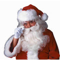 Deluxe Santa Wig/Beard Set - worldclasscostumes