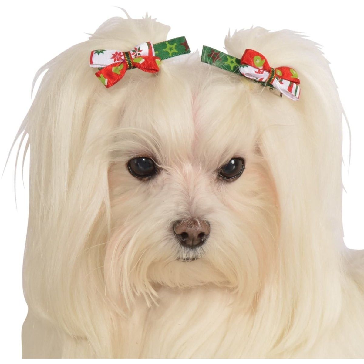Dog Festive Hair Bows - worldclasscostumes