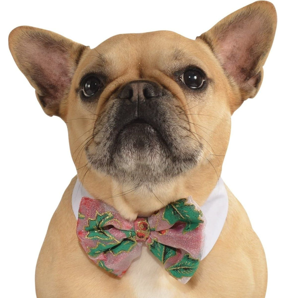 Dog Poinsettia Bow Tie - worldclasscostumes