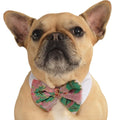 Dog Poinsettia Bow Tie - worldclasscostumes
