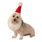 Dog Santa Hat with Beard - worldclasscostumes