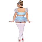 Glass Slipper Cinderella Womens Costume - worldclasscostumes