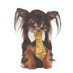 Gold Sequin Tie Pet Costume - worldclasscostumes
