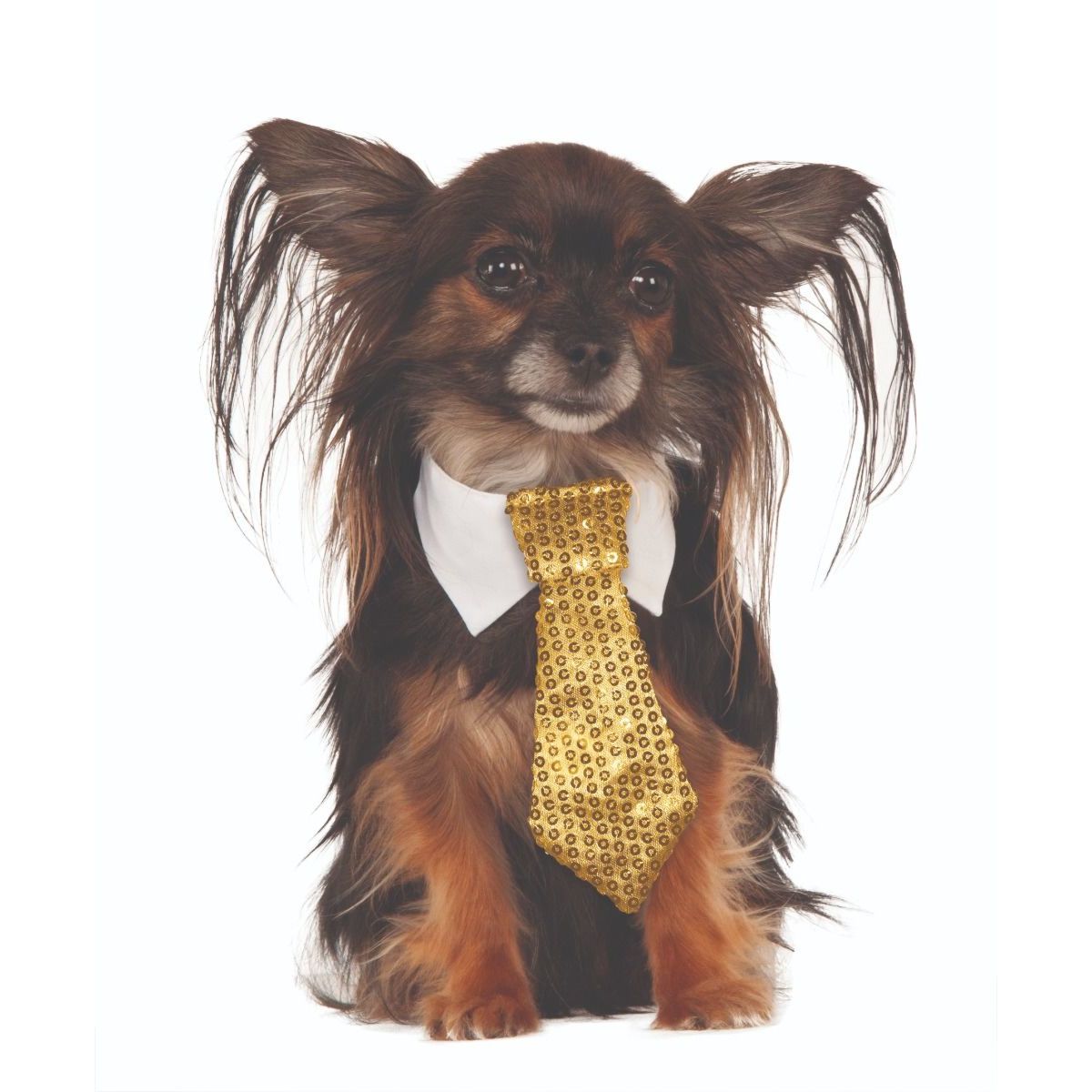 Gold Sequin Tie Pet Costume - worldclasscostumes
