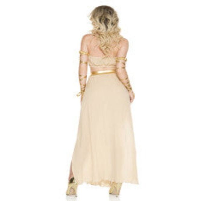 Medieval Queen Women Costume - worldclasscostumes