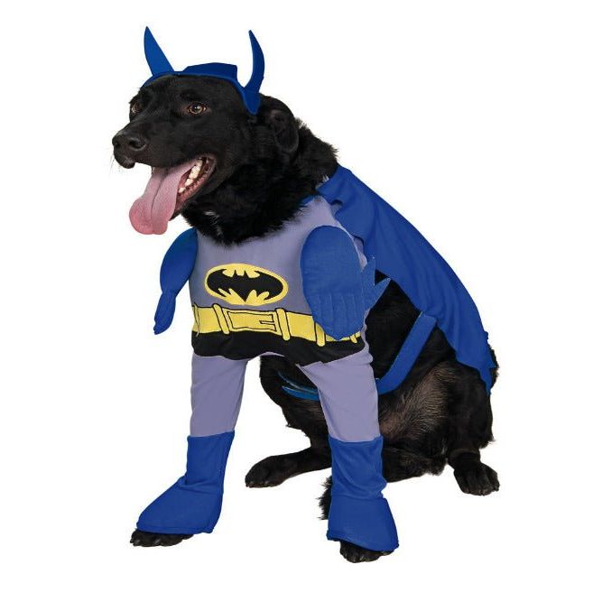 Pet Batman Costume - Brave and the Bold - worldclasscostumes