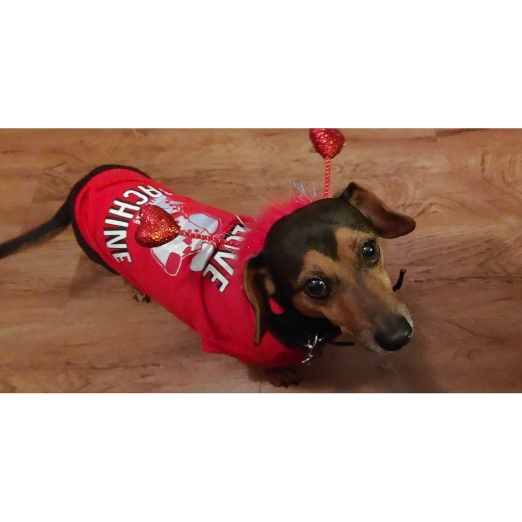 Pet Red Heart Boppers - worldclasscostumes