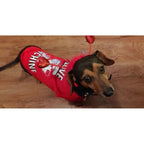 Pet Red Heart Boppers - worldclasscostumes